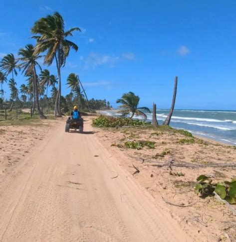 Necesita Pasaporte Para Visitar Punta Cana En 2023 Tenemos La Respuesta