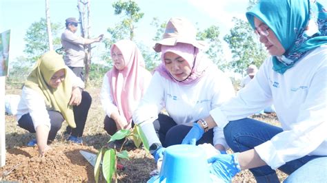 Lindungi Ozon Pelindo Tanam Pohon