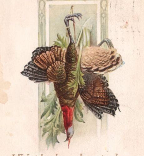 Thanksgiving Dead Turkey Bird Db Vintage Postcard Ebay