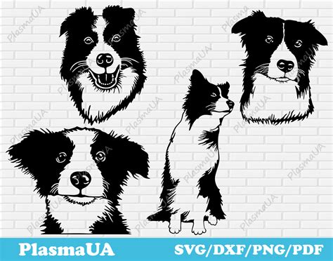 Border Collie Svg Dog Svg Dxf Dog Dxf Files For Laser Svg Etsy