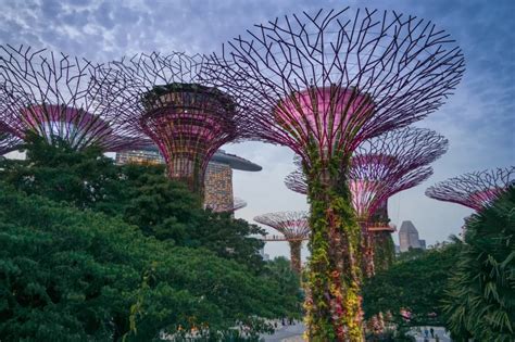 30 Cosas Que Ver Y Hacer En Singapur Katt Travel