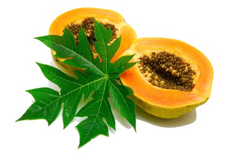 Papaya Png Transparent Papayapng Images Pluspng