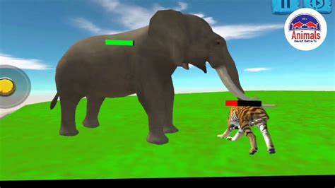 Tiger Vs Elephant Giant Animal Fights Videos Youtube