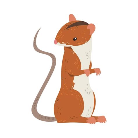 Premium Vector Field Mouse Standing On Hind Legs Adorable Red Rodent