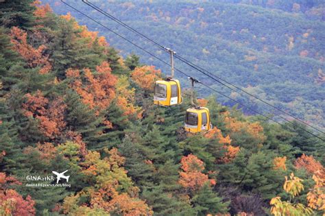 【2022八公山賞楓】韓國大邱－八公山道立公園拍楓葉｜纜車費用、搭乘方式（春天可賞櫻）