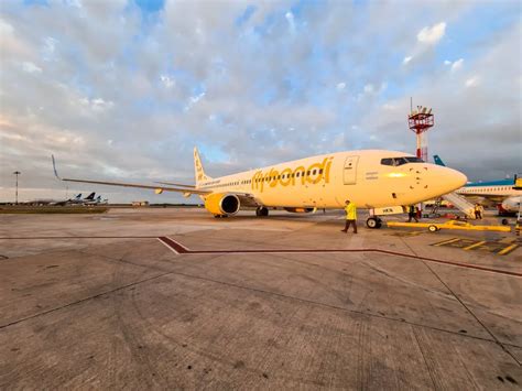 Flybondi programa retomar sus vuelos a Florianópolis en septiembre