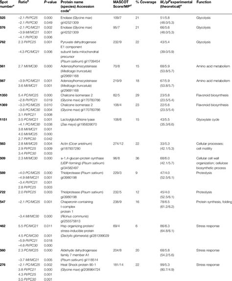 List of proteins identified by mass spectrometry analysis, classified ...