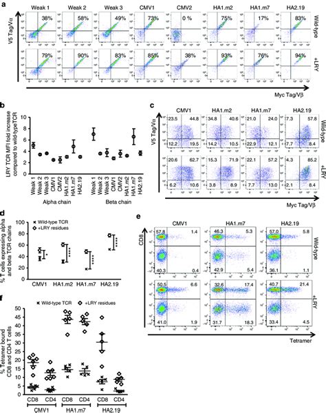 Replacement Of Three Framework Residues Reduces Tcr Mispairing And