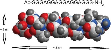 Chemical Structure And Space Filling Model Of The Silk Fibroin Peptide