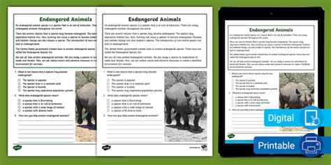 Third Grade Endangered Animals Reading Comprehension