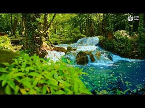 Forest waterfall sounds, calming nature ambience, 10 hours white noise ...