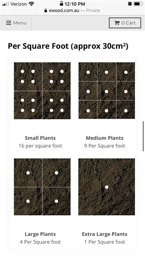 Plant Spacing Guide For Vegetables In A Square Foot Garden Square Foot Gardening Vegetables