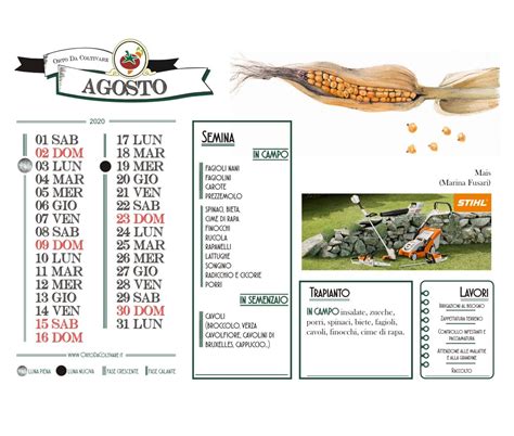 Calendario Lunare Di Maggio Lavori Nell Orto E Semine Artofit