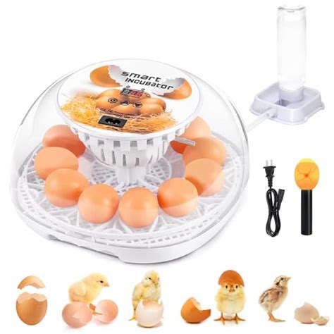 Top Incubator For Chicken Eggs Of Katynel