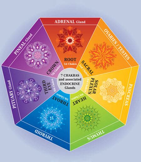 Polarity Therapy Whole Body Harmonics