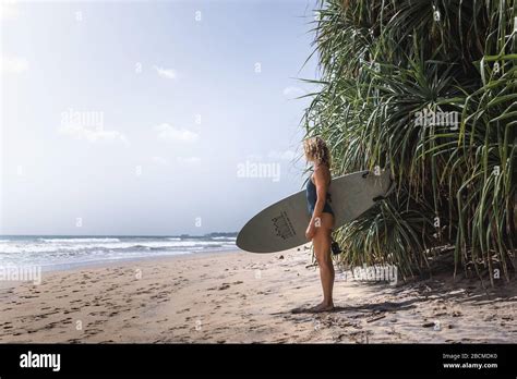 Femmes Debout Sur La Planche De Surf Banque De Photographies Et D