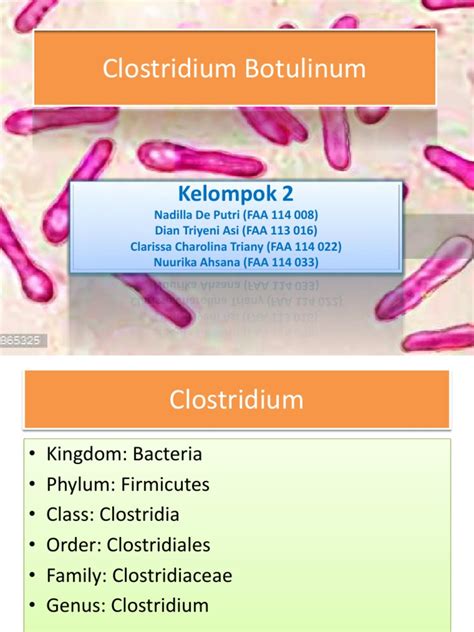 Clostridium Botulinum Ppt