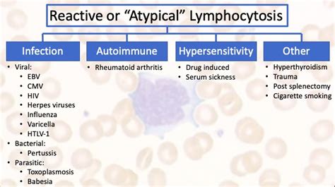 Atypical Lymphocytes Ebv