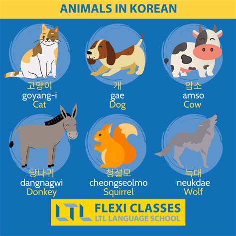 Animals in Korean (170+) // The Ultimate Guide + Flashcards & Quiz