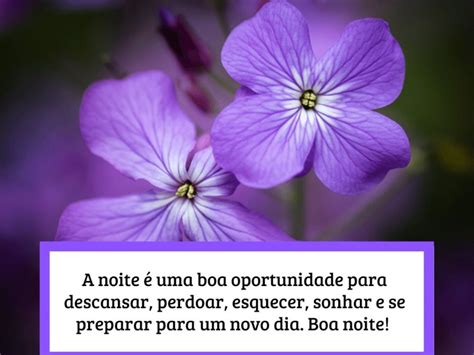 Veja Mensagens De Boa Noite Flores Focalizando