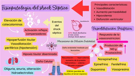 Fisiopatología Del Shock Hipovolémico