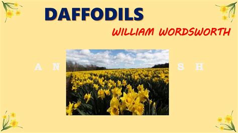 Explanation Of The Poem Daffodils By William Wordsworth YouTube