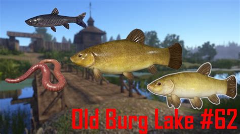 Russian Fishing Old Burg Tench Lin Spot Rf Youtube