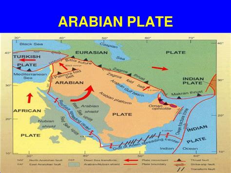 PPT - PLATE TECTONICS A UNIFYING CONCEPT FOR UNDERSTANDING EARTHQUAKES ...