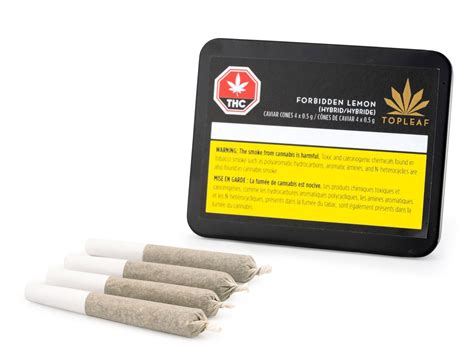 The First Infused Pre Roll Just Launched In Canada What Took So Long