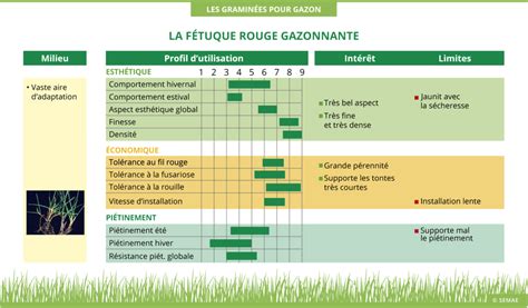 Fétuque rouge gazonnante Semence Qualité GERMINEO