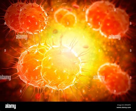 Neisseria Gonorrhoeae Epidemiolog A Fotograf As E Im Genes De Alta