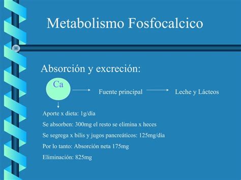 Metabolismo Fosfocalcico PTH Calcitonina Vit PPT