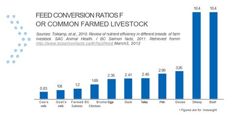 Why In Animal Production Feed Efficiency Is So Important Timac Agro