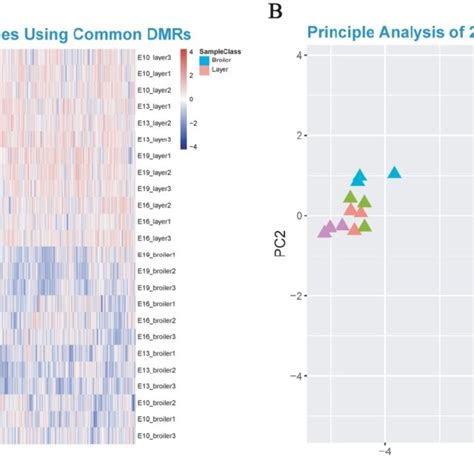 Heatmap Clustering Analysis And Pca Analysis A Heatmap Clustering Download Scientific