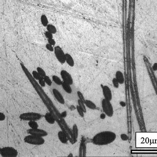 Optical Micrograph Of The Sample A2 Showing A Precipitate Of Al Cu Fe