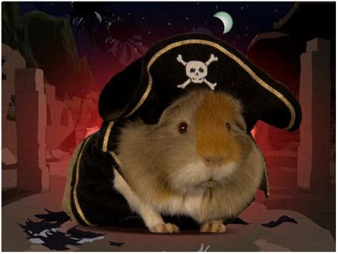 Some ideas for Guinea pig halloween costumes!