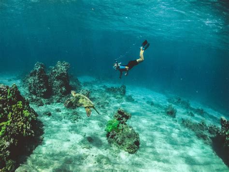 Snorkeling in Isla Mujeres – PlayaNorte.com