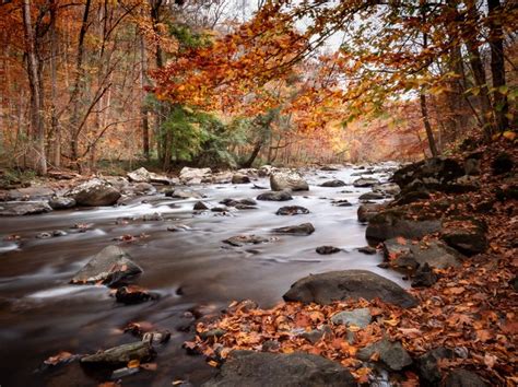 New Jersey Fall Foliage