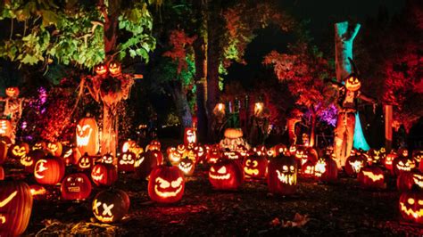 Magic Of The Jack Olanterns Comes To Light At Hudson Gardens Yourhub