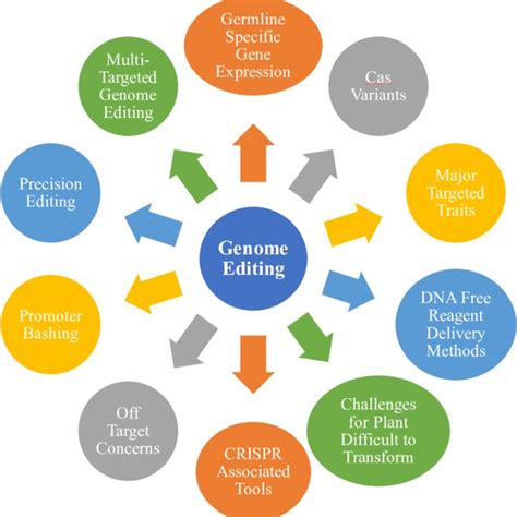 The Basic Genome Editing Techniques For Developing New Cultivars Having