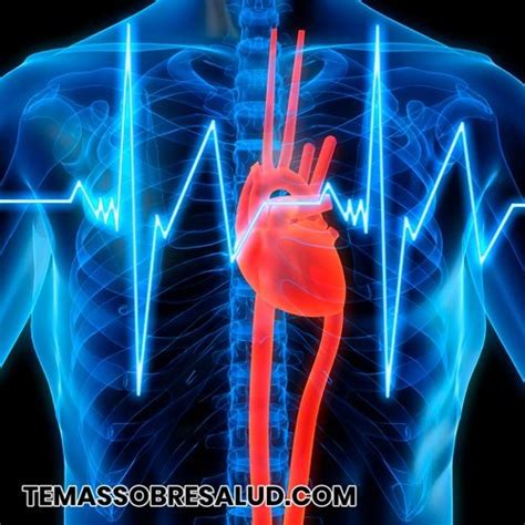 Miocarditis Tipos Síntomas Y Tratamiento En Adultos