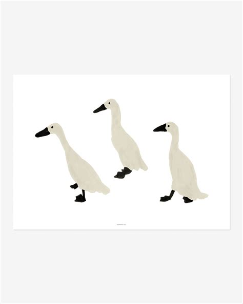 INDIAN RUNNER DUCKS POSTER – warmgreytail