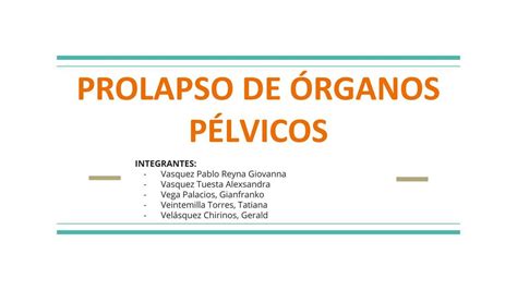 Prolapso De Rganos P Lvicos Reyna Giovanna Vasquez Pablo Udocz