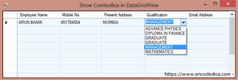 Bind And Show A Combobox In A Datagridview Cell Using C And Vb Net Riset