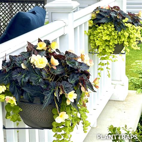 Floating Vertical Gardens With Tool Free Railing Planters Plant Traps