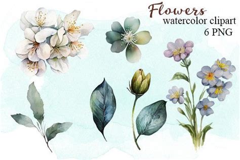 Tropical Flowers Watercolor Clipart Graphic By Aqvamarypro Creative