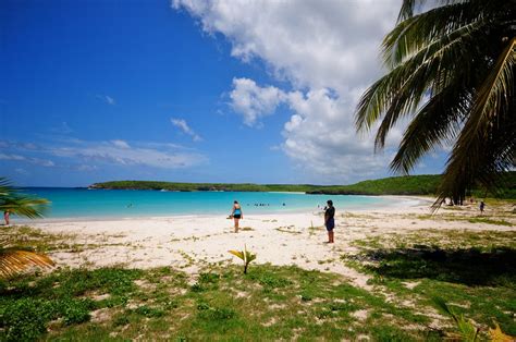 Playa Caracasred Beach Vieques Puerto Rico Yasmapaz And Aceheart