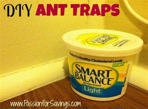 DIY Ant Traps | How to get rid of Ants in the Summer - Passion for Savings