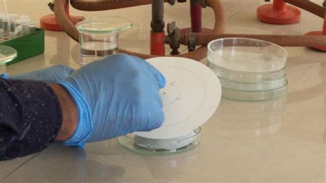 Circular Paper Chromatography Demo By Dr Niyas Youtube