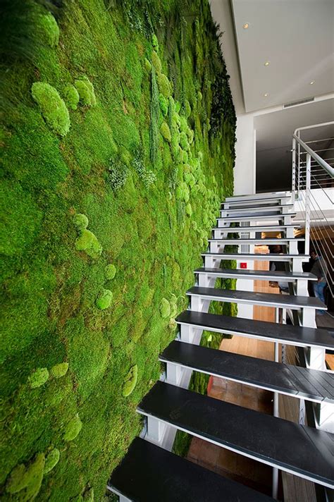 Moss Walls The Interior Design Trend That Turns Your Home Into A Forest